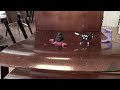 Blobben(en Gammal 1930-tals-film