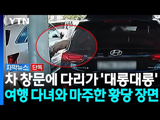 "한국 공항에서 이런 일이"...충격적 행동 뒤 유유히 떠난 남성 [자막뉴스] / YTN