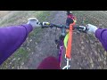 how to train you dog to mush.(run with bike) how to train you dog to mush.(run with bike)