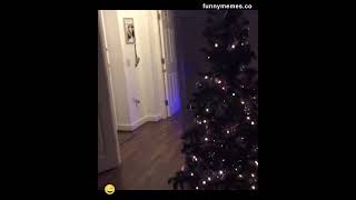 When Santa is late to deliver gifts 🎅🤣