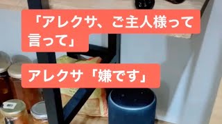 お節介アレクサとサラリーマンの日常1