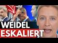 "weil wir von trotteln regiert werden"❗️Alice Weidel platzt der Kragen und zerlegt Merz❗️ Mp3 Song
