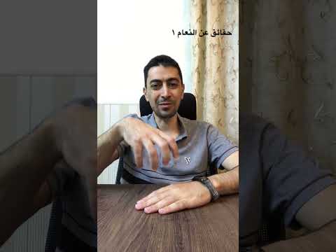 حقائق عن النعام النعامة ما بتدفن راسها بالارض لما تخاف حقائق نعام خرافة معلومة طائر ضخم