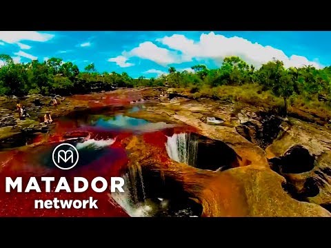 Video: Kaip Aplankyti Caño Cristales Kolumbijoje - „Matador Network“