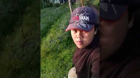 sisi gelap si introvert #sorotanpublik #brandafyp 