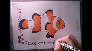 How do clownfish change sex?