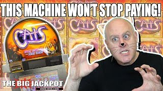 MEGA WIN$ 🙀High Limit Cats Slot Machine | The Big Jackpot screenshot 1