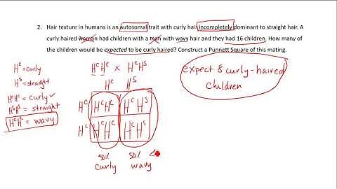 Solving Genetics Problems Tutorial