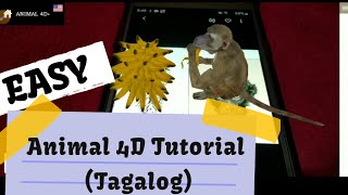 Paano mag install at gumamit ng  Animal 4D+ app sa iyong  mobile phone? | Shie Torres screenshot 4