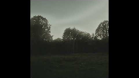 Axel Vonamata - sunday