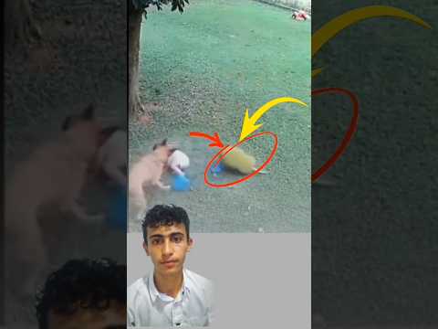 أحيان ا تأتي البطولة من مخلوق لا يتكلم لكنه يشعر ويخلص دون تردد  