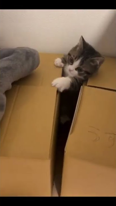 I can, l can, yes l definitely can.