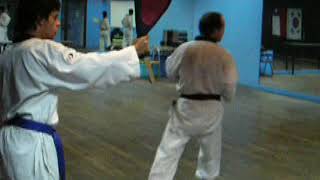 Taekwondo Genesis