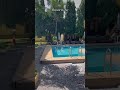 貸切りリゾート&ダイビング 最高#フィリピン旅行#フィリピン