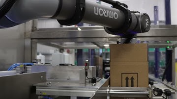 Reeco Automation | End of line Robot Palletising | AMR | Mobile Robots