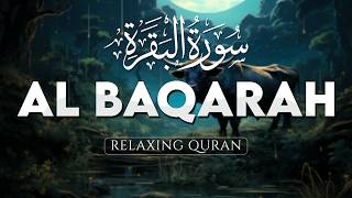 InsyaAllah Menenangkan Hati, Murotal Surah Al-Baqarah Paling Indah - AHMAD AL SHALABI