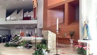 St. Thomas More Church 10 am Mass. The Ascension of the Lord   05-17-2026