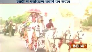A Wedding in Sikar Promoted Growth of Pollution Free Environment A Wedding in Sikar Promoted Growth of Pollution Free Environment