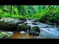 🌊 Peaceful Water Sounds for Meditation, Relaxation and Deep Sleep 🧘