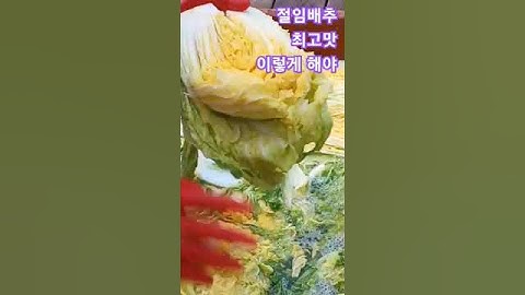 김장 김치 최고 맛내기는~!! 이렇게 해 보세요  고냉지 절임배추 주문 받습니다 010 2673 01199