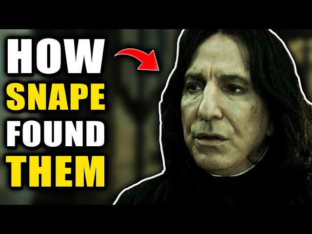 How Are Wands ALIVE? - Harry Potter Explained 