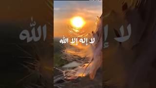 سبحان الله الحمد لله لا إله إلا الله الله أكبر لاحول ولا قوة إلا بالله