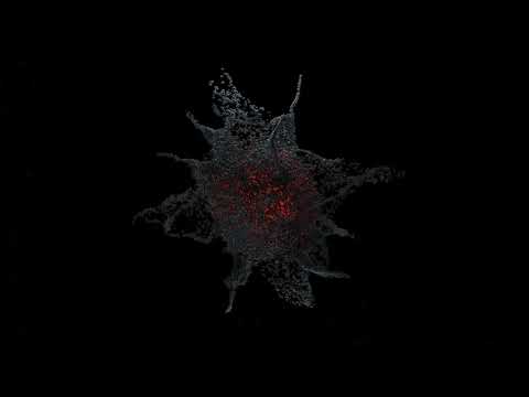 Psychedelic animation in Blender
