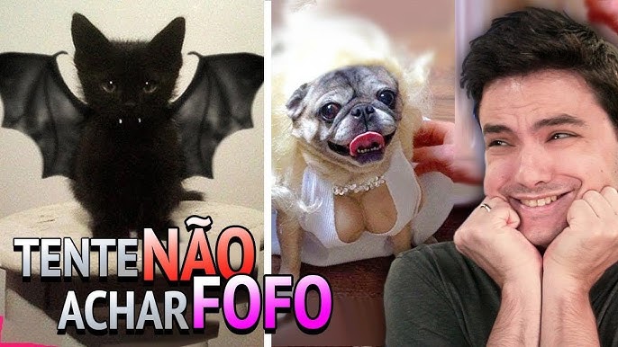 floppa questions  Criaturas fofas, Gatinhos fofos, Gatinhos