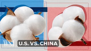 How Banning Most Chinese Cotton Has Shifted Global Supply Chains | WSJ U.S. vs. China