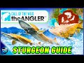 UPDATED Sturgeon Hotspot Guide! | 4 DIAMONDS in 50 minutes! - Call of the Wild theAngler