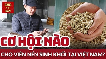 Viên nén sinh khối trong xu hướng chuyển dịch năng lượng | NĂNG LƯỢNG XANH |  Đảng với Dân
