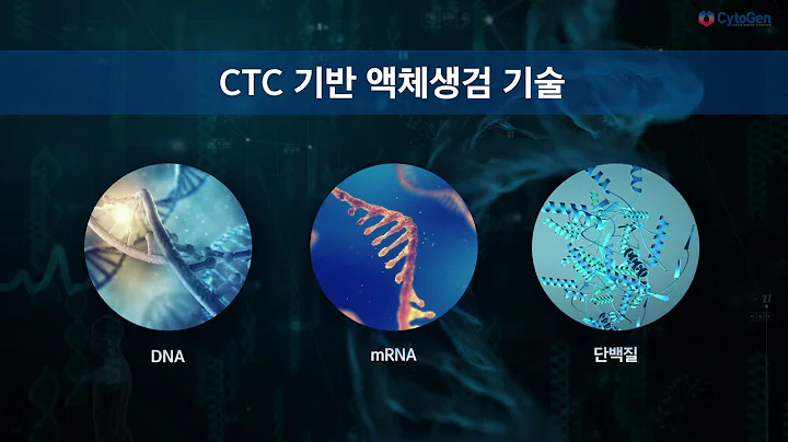 싸이토젠 2018