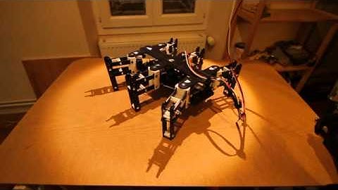 Bleuette Hexapod Robot
