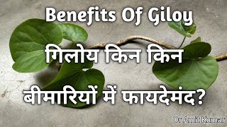 Benefits Of Giloy | गिलोय किन किन बीमारियों में फायदेमंद ? गिलोय के फायदे |