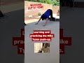 Mike Tyson Push-ups At Home. #chestworkout #homeworkout #exercise #miketyson #pushup #workout