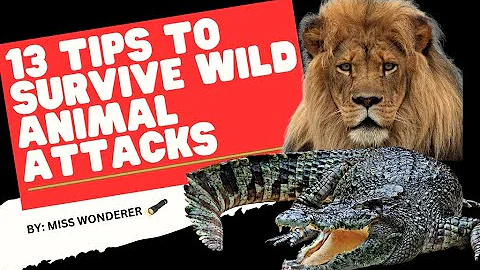 13 Tips to Survive Wild Animal Attacks