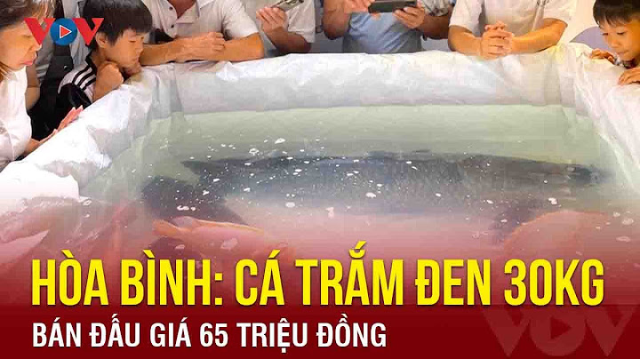 Cá trắm đen bao nhiêu tiền 1kg năm 2024