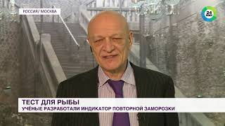 Александр Савельев на МИР 24: Тест покажет, сколько раз размораживали рыбу