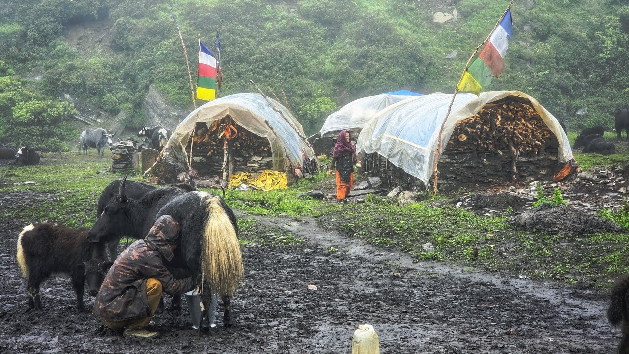 Nepali Rural Community Simple Nepali rural village in mountain | Nepali Mountain Lifestyle In ...