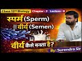 Lec:8 || Class 12 Biology | Penis, Semen & Puberty Explained 🔥 | वीर्य कैसे बनता है? | Surendra Sir