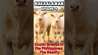 BAKAalaman Episode 9 - Exotic Breeds in the Philippines: The Reality