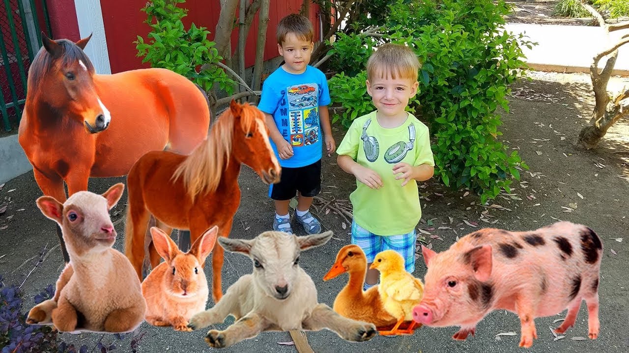 PETTING ZOO Childrens ZOO Farm Animals FAMILY Fun Educational Зоопарк Домашние Животные в