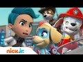 Paw patrol are all paws on deck to rescue adventure bay w marshall mighty twins  more  nick jr