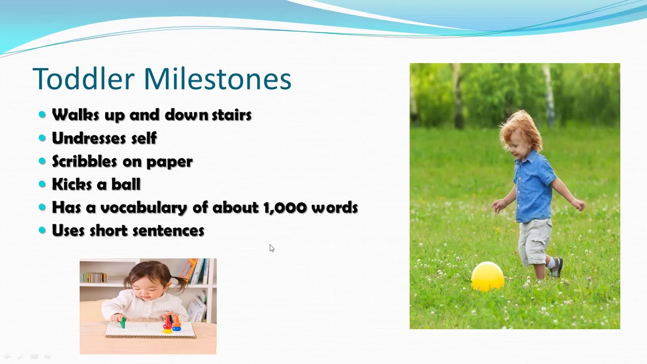 Child Development - YouTube