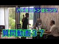 【質問動画37】バトミントンはヒンジ