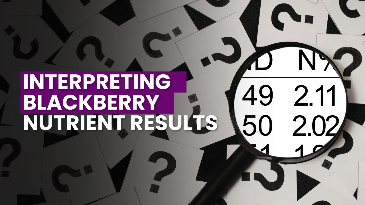 Interpreting Blackberry Nutrient Results