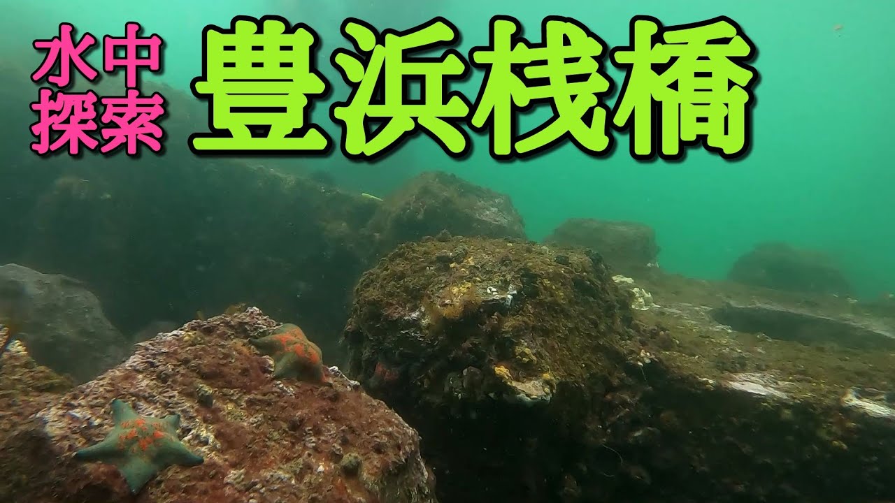 【豊浜釣り桟橋】どんな地形か気になっていたので水中撮影してきた！！