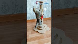 Всем советую #temu #обзор #маркетплейс#когтеточка#обзор#коты