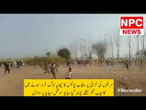 مرغوں کی لڑائی پر پنجاب پولیس کا چھاپہ لوگ فرار ہونے میں کامیاب ککڑ ہتھے چڑھ گیا ویڈیو وائرل