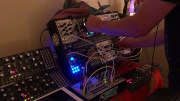 Introspection || Morphagene, Basimilus Iteritas Alter